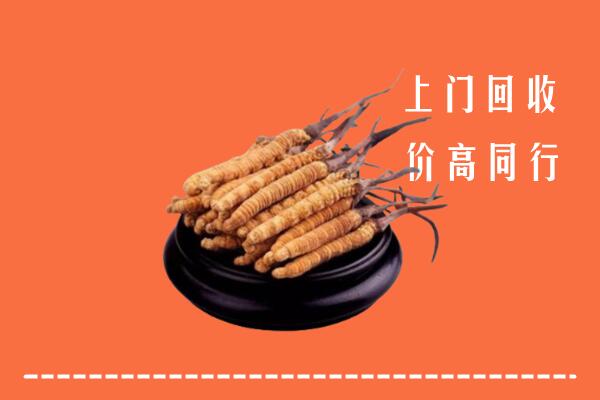 高价求购：昭通市大关县回收散虫草