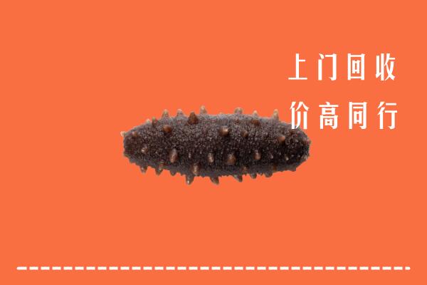 高价求购：昭通市大关县回收海参