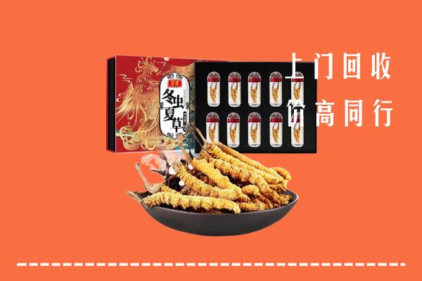 昭通市大关县回收虫草